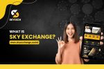 SkyExchange ID